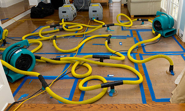 Professional Flood Damage Restoration technician working in Melrose, OH